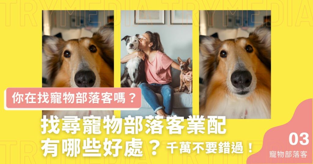 寵物部落客業配