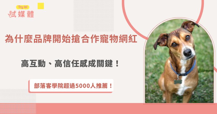 近年寵物網紅的影響力快速成長，原因在於毛孩內容通常比一般商業貼文更容易引發情感共鳴，無論是日常互動、開箱體驗還是搞笑短影音，都能自然吸引大量留言、分享與收藏，對品牌而言，這類內容不只曝光效果好，也更容易建立消費者信任感，如果店家想更有效率找到適合的寵物創作者，推薦透過試媒體等網紅媒合平台，快速媒合符合品牌調性的寵物KOL！
